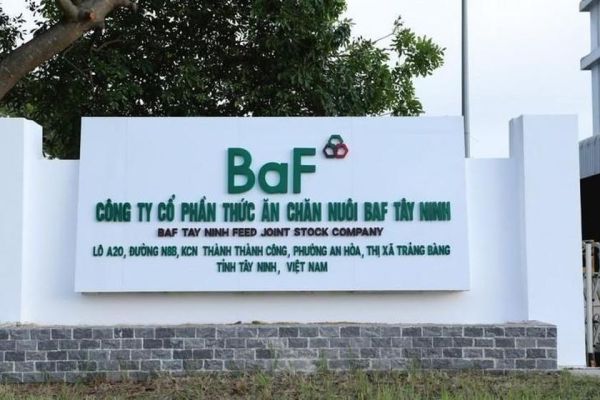 BaF Việt Nam (BAF) 'ế' hơn 4,5 triệu cổ phiếu ESOP mặc dù phát hành giá chiết khấu tới 51,1%