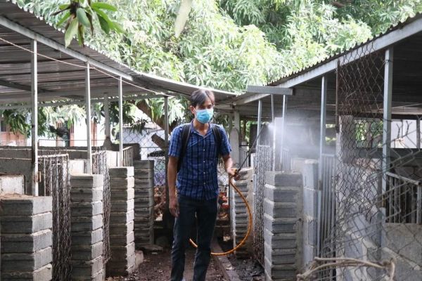Các địa phương nỗ lực ngăn chặn bệnh dịch tả lợn châu Phi, cúm gia cầm lây lan