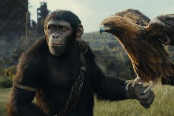 'Hành tinh khỉ: Vương quốc mới' được tán dương