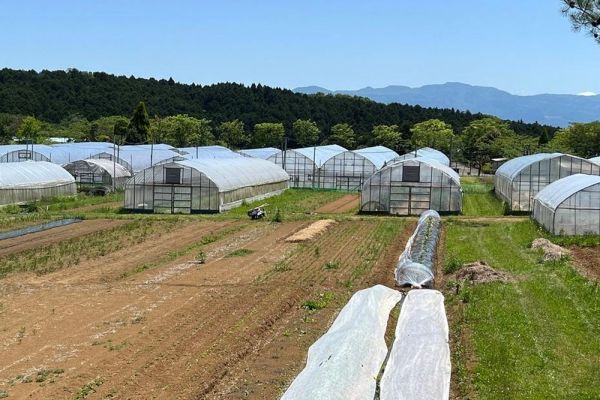 Nhật Bản xây dựng nông nghiệp thuận thiên ra sao?