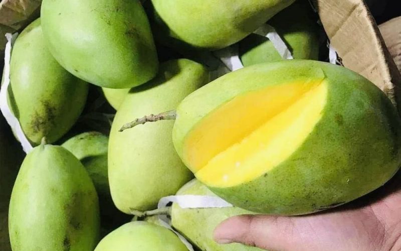 10 loại trái cây giúp bảo vệ sức khỏe trong mùa nắng nóng
