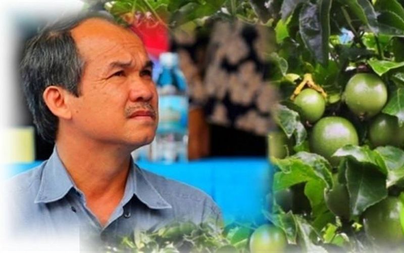 3 đại gia Việt 'đổ tiền' làm nông nghiệp giờ ra sao?