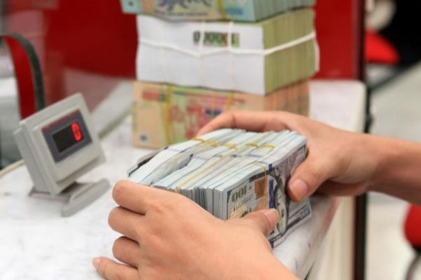 Bảo hiểm tiền gửi Việt Nam tham gia tái cơ cấu quỹ tín dụng nhân dân