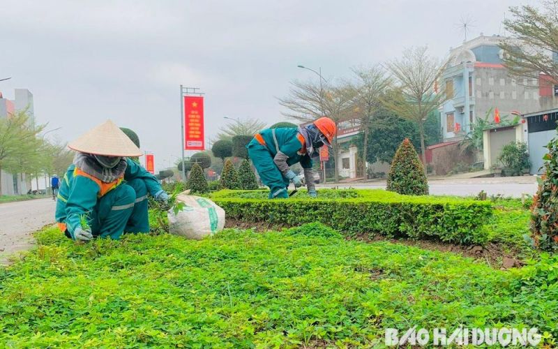 Chí Linh chung tay cho thành phố thêm xanh