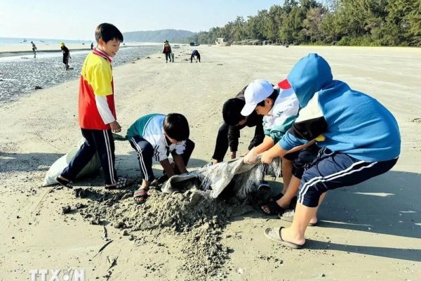 Huyện đảo Cô Tô kêu gọi công ty lữ hành và du khách nói không với rác thải nhựa