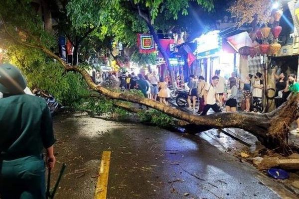 Loạt cây xanh ở Hà Nội ngã đổ sau trận mưa lớn