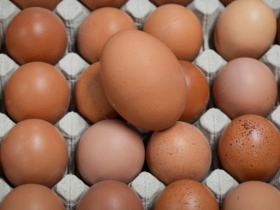 Sự bùng phát trở lại của cúm gia cầm khiến giá trứng ở một số quốc gia tăng cao