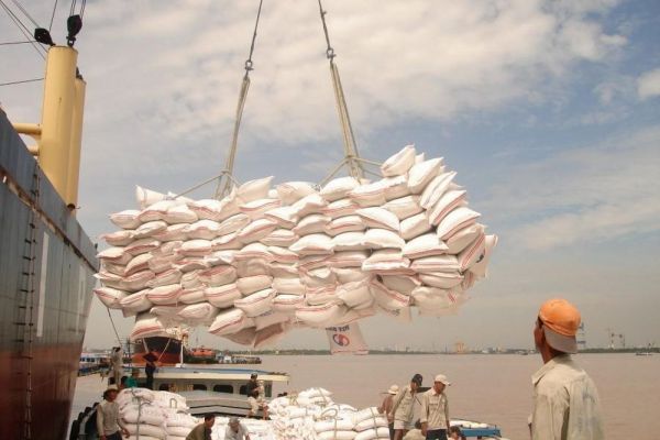 Trở lại đường đua, Vinafood 2 xuất khẩu hàng triệu tấn gạo mỗi năm
