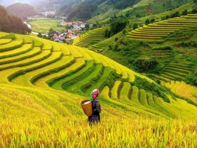 Việt Nam là một trong những điểm đến du lịch tốt nhất thế giới năm 2024